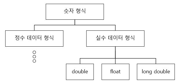 실수 데이터 형식.png